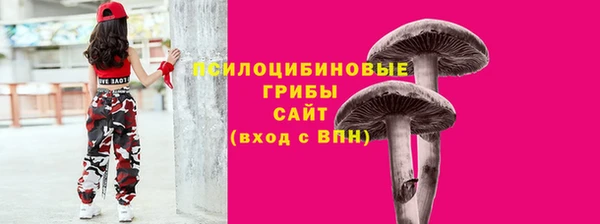 первитин Арсеньев