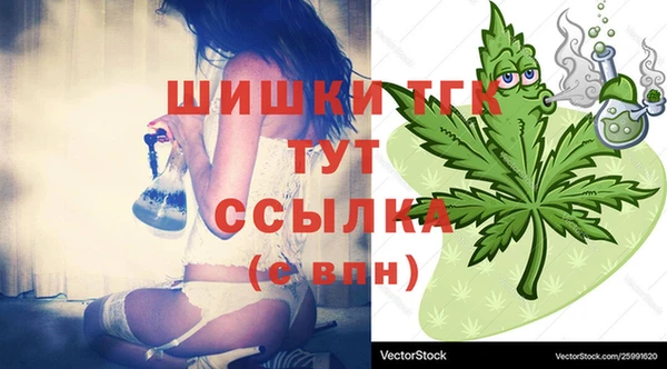 спиды Аркадак