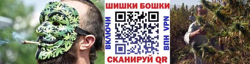 Шишки марихуана план  Козьмодемьянск 