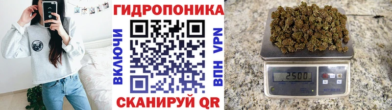 Бошки марихуана MAZAR Козьмодемьянск